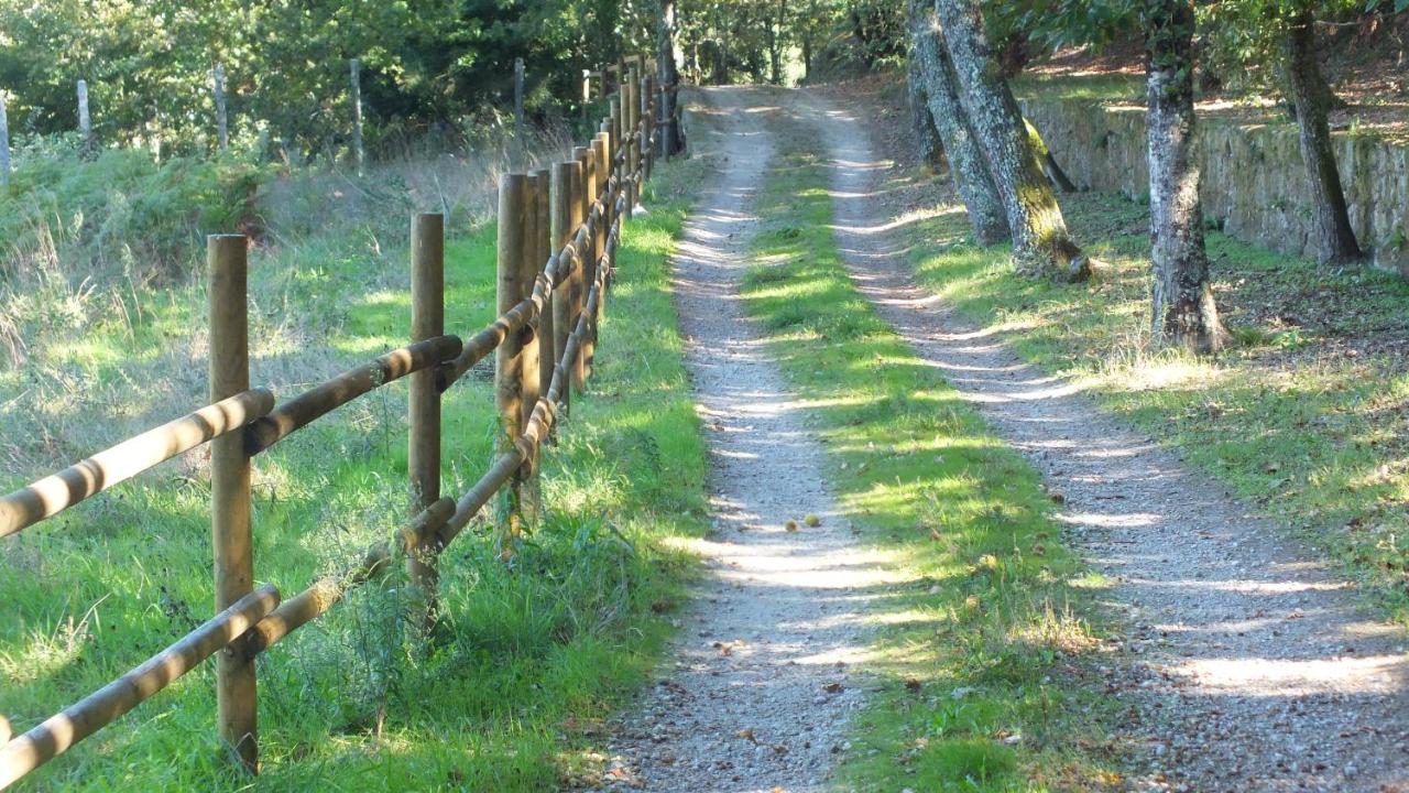 Caminho de terra com parte em relvado separados pelos caminhos feitos pelas rodas dos carros.